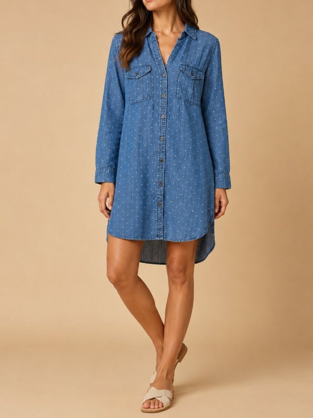 Blue Chambray Polka Dot Shirt Dress Philosophy Size Small